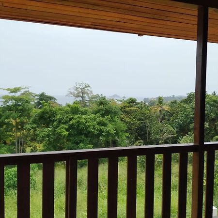 Domus Guesthouse Santana Bagian luar foto