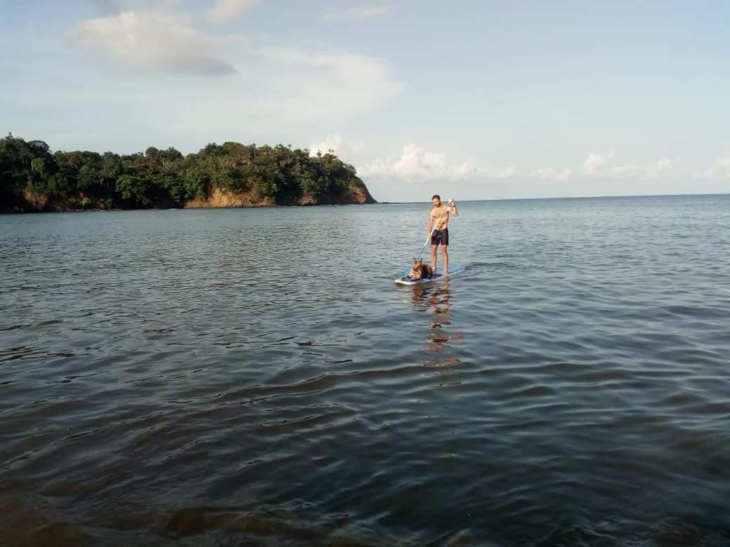 Domus Guesthouse Santana Bagian luar foto