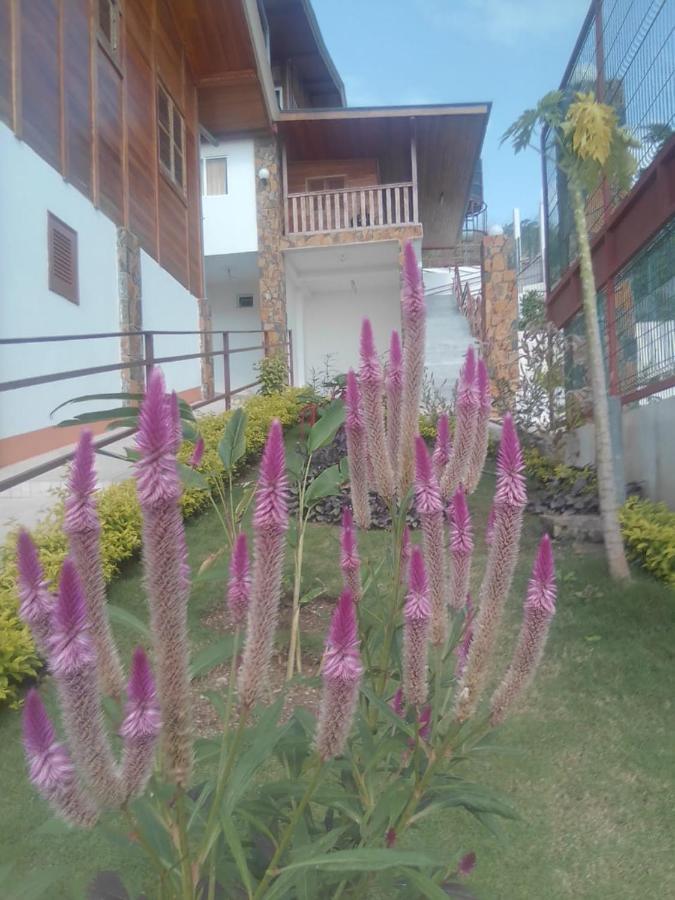 Domus Guesthouse Santana Bagian luar foto