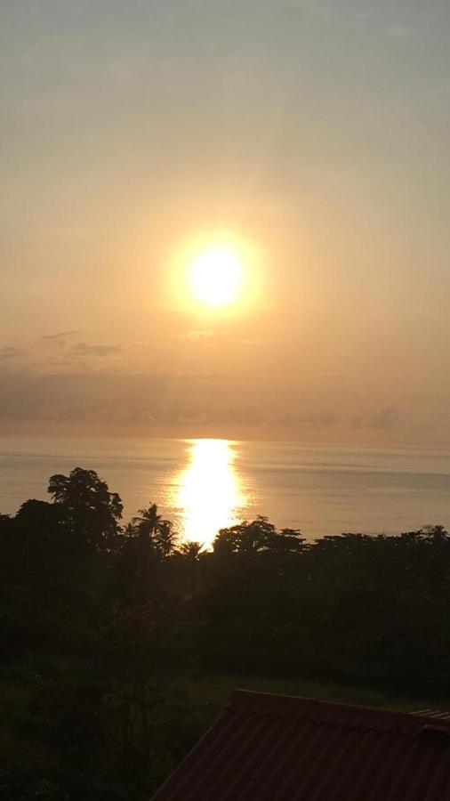 Domus Guesthouse Santana Bagian luar foto